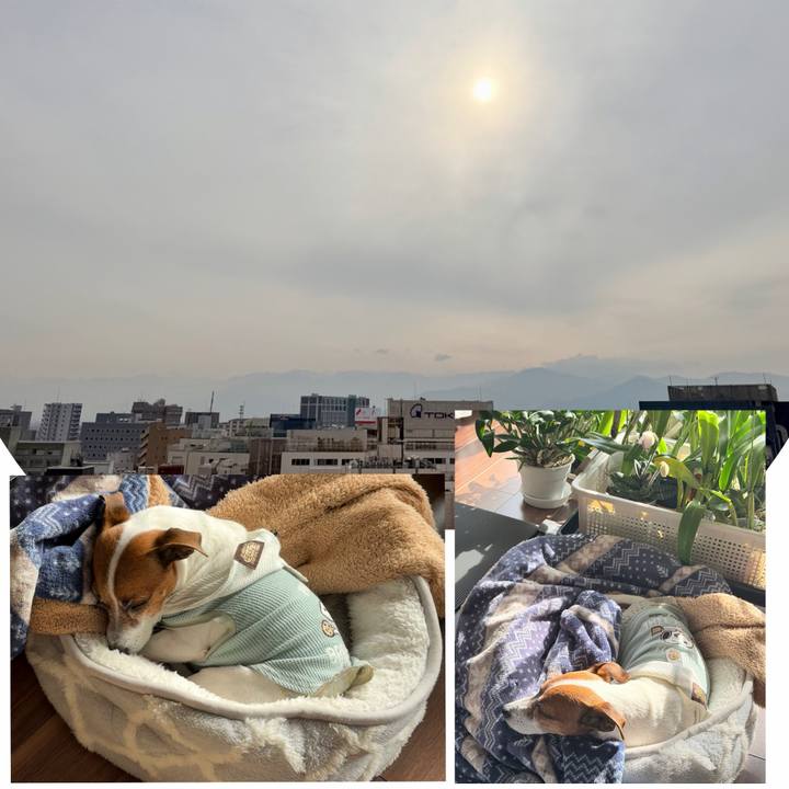 Baacbda1 e732 4d14 8b3f 7c720747961f 1774397082462