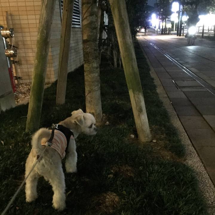 Baacc08f 6d11 453c 9c1a 4bd759a6dab0 1538908910577