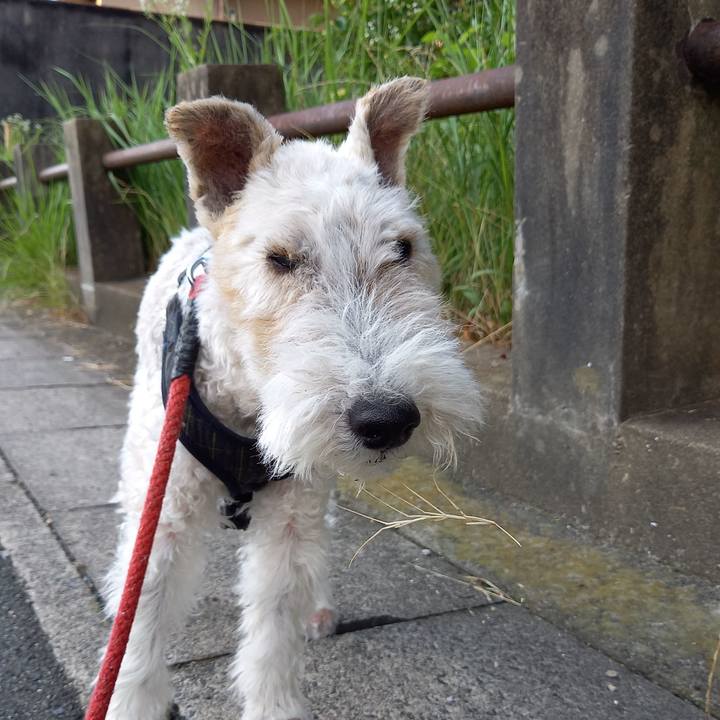 Baacd828 b4c7 4219 aa9b 38bbd7839e8f 1625013991632