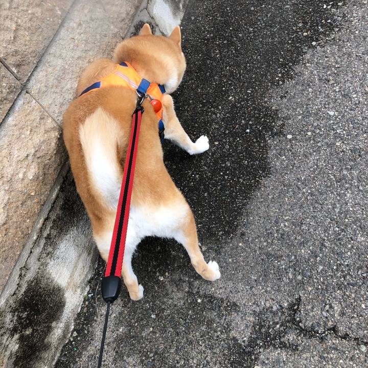 Baace1a4 b9e0 4d0d b1e7 57ee99ab7877 1582719829518