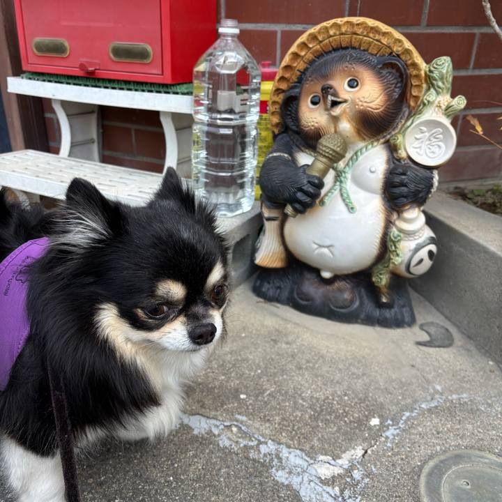 Baad2399 20eb 41cd a90c f13f03b03c71 1768976434653