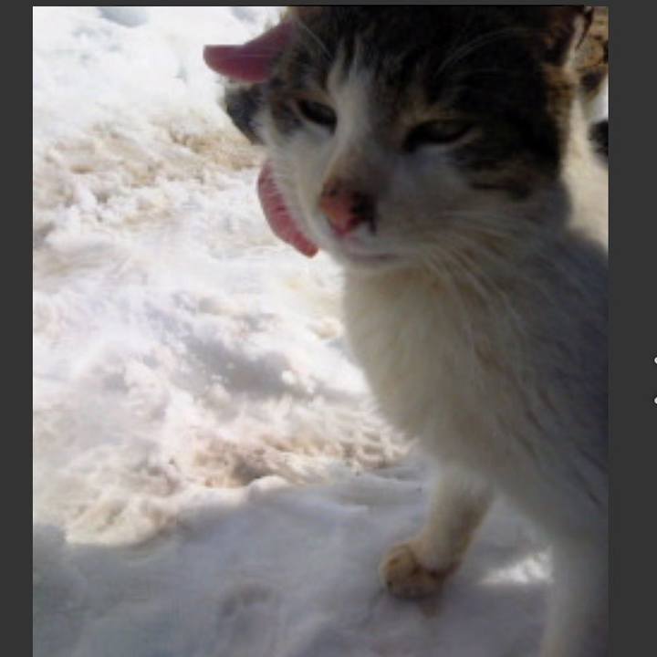 Baad2cdf 68fb 4610 920d f846a030ef1d 1550318045639