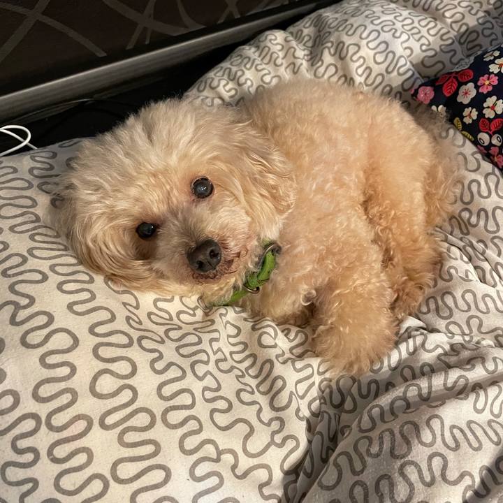 Baad5e6a f33d 4db1 8cdf 039999985b38 1633992364454