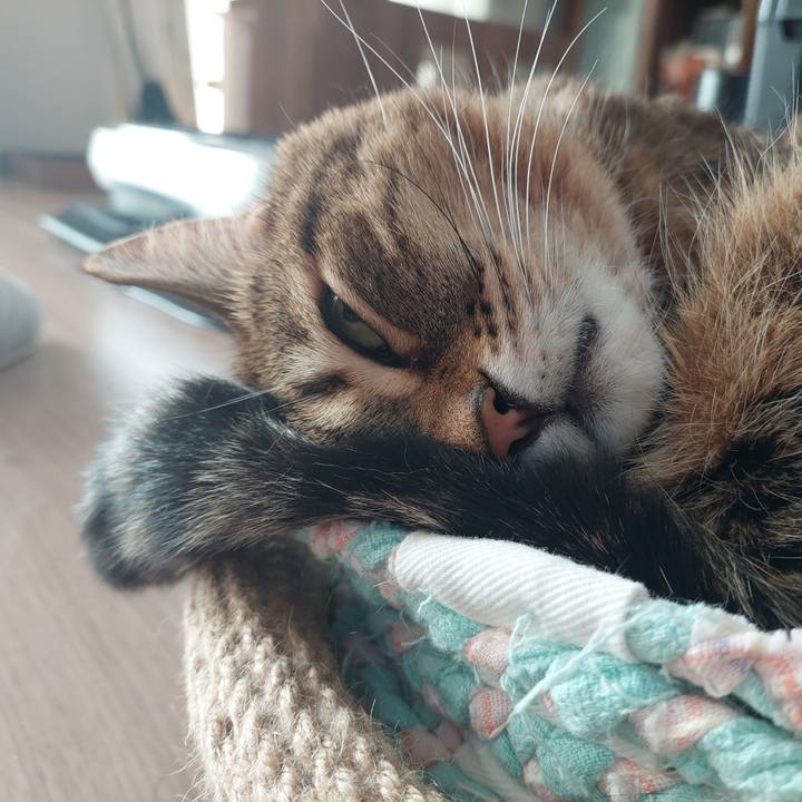 Baad8103 b9d0 43f0 b6db 6d2d06ee8a9d 1638397950406