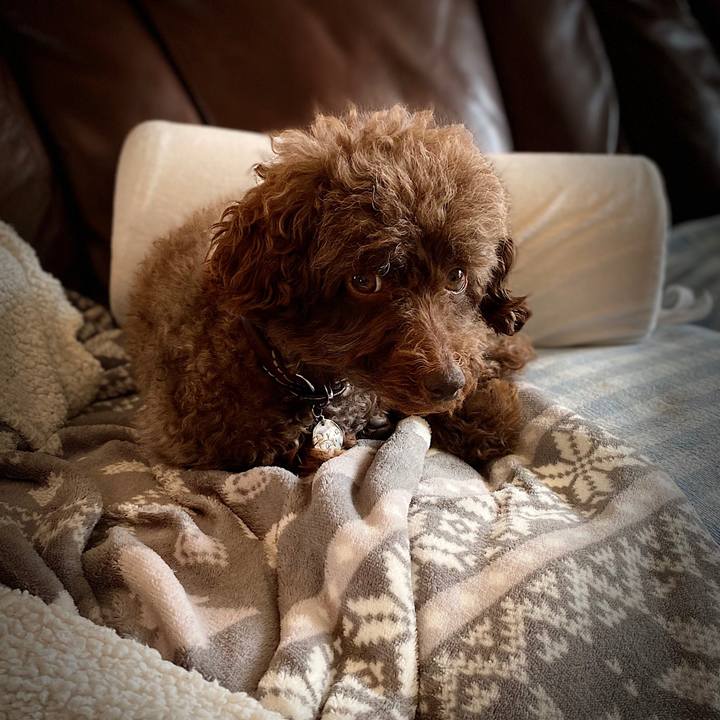 Baad94f9 e019 4b8e 8860 2fdd3b234b43 1589637771676