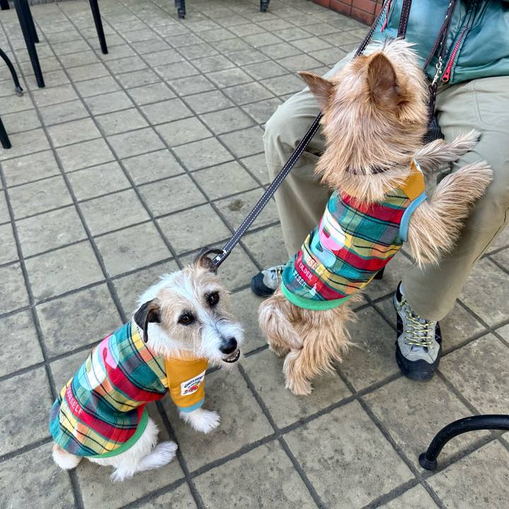 Baada2ee 12ef 4859 b097 2725d273cbfa 1735400561545