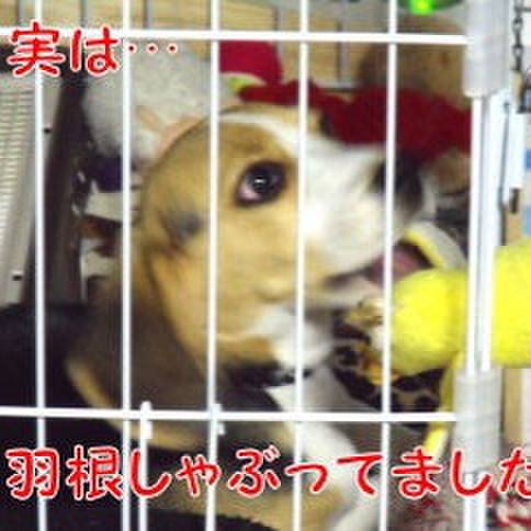 Baadbc10 789b 4394 9612 8f6f5a7b53fd 1679271388553