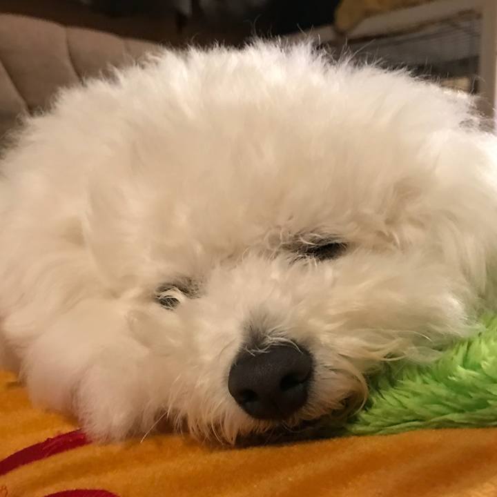 Baadd268 cb8d 4f07 905b 2313cdfe92e8 1547897457360