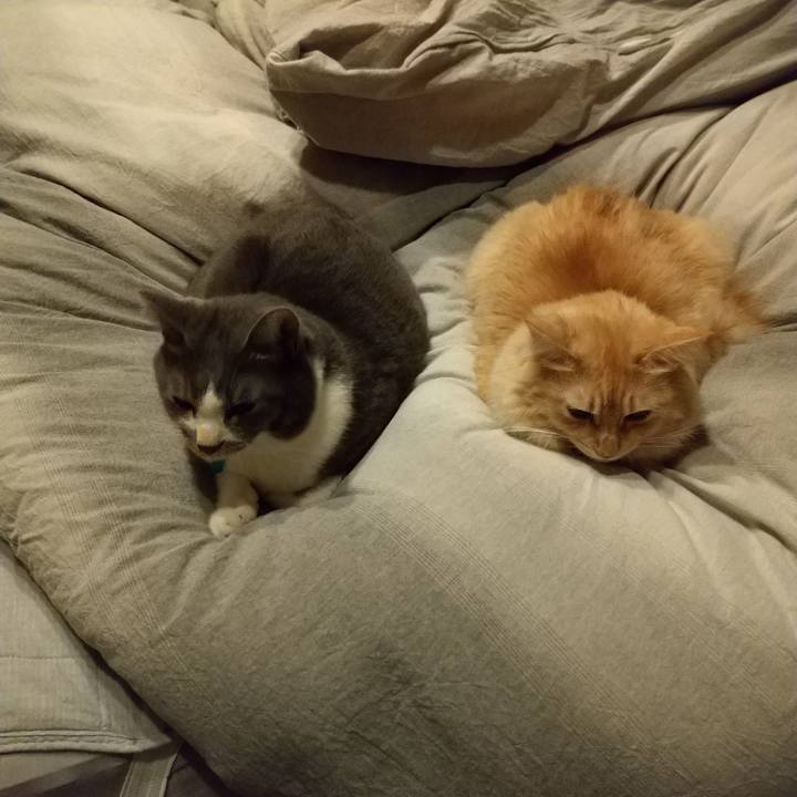 Baade7bd 81f3 4dc1 a610 5cecbbe8a221 1634915187868