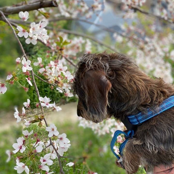 Baadea5d e77d 47e3 a66b abaedd0e74da 1586609010933