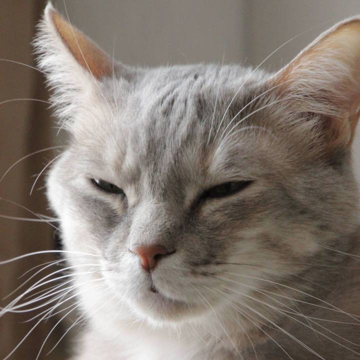 Baae5822 7d2f 48a4 83e0 90870beb8327 1645801421220