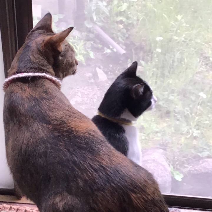 Baae5f62 1390 401a aeb7 dbd572682892 1651046155589