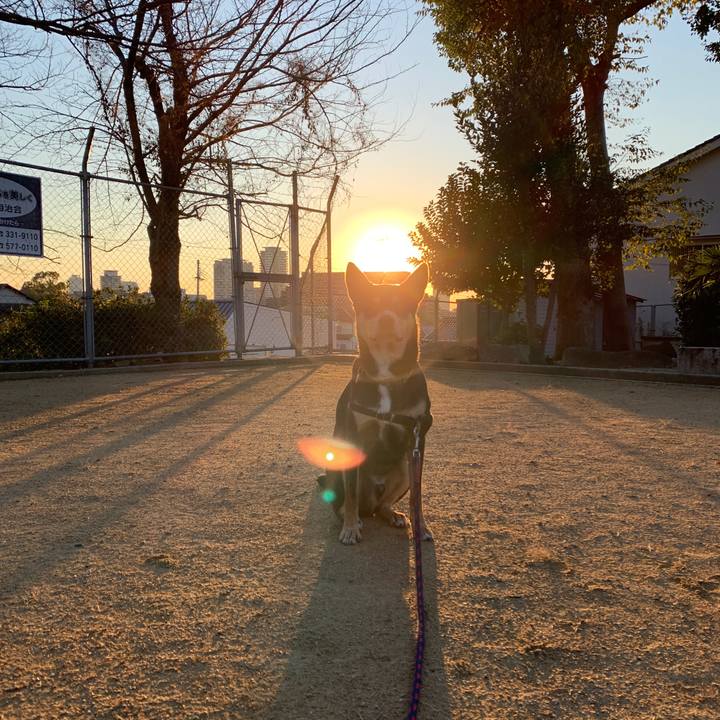 Baaed27f d8d2 49a6 aed9 c678a2f9c6ee 1575429048221