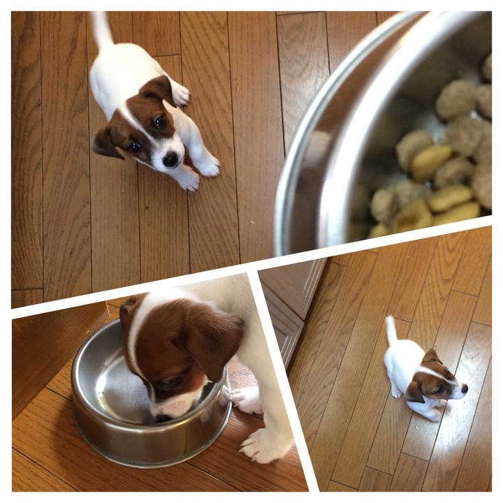 Baaedeed 763a 4ed6 b078 fe8afb60943c 1510615874333