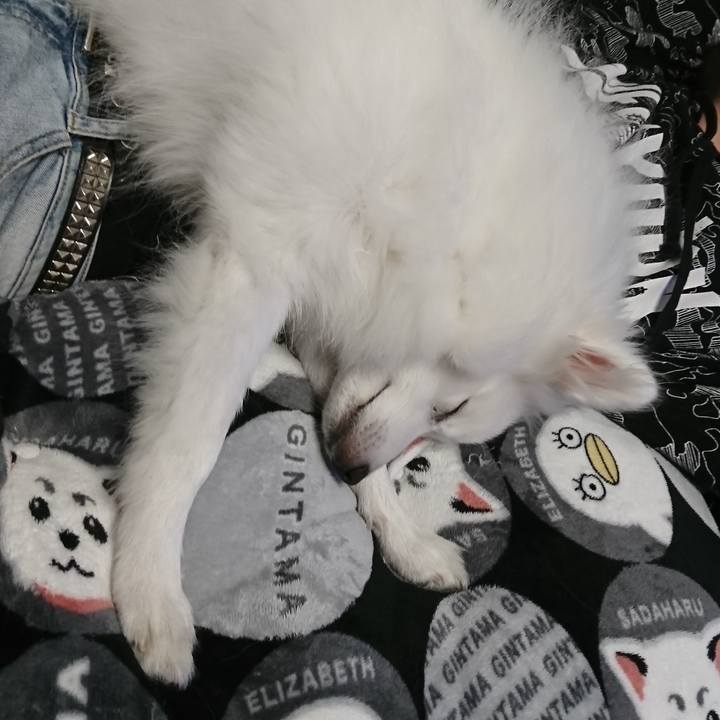 Baaef9ef 51d4 44d7 a066 f9380fd77727 1554630474394