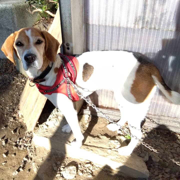 Baaf18b9 d686 4883 92f0 4c61319cb559 1707730098670