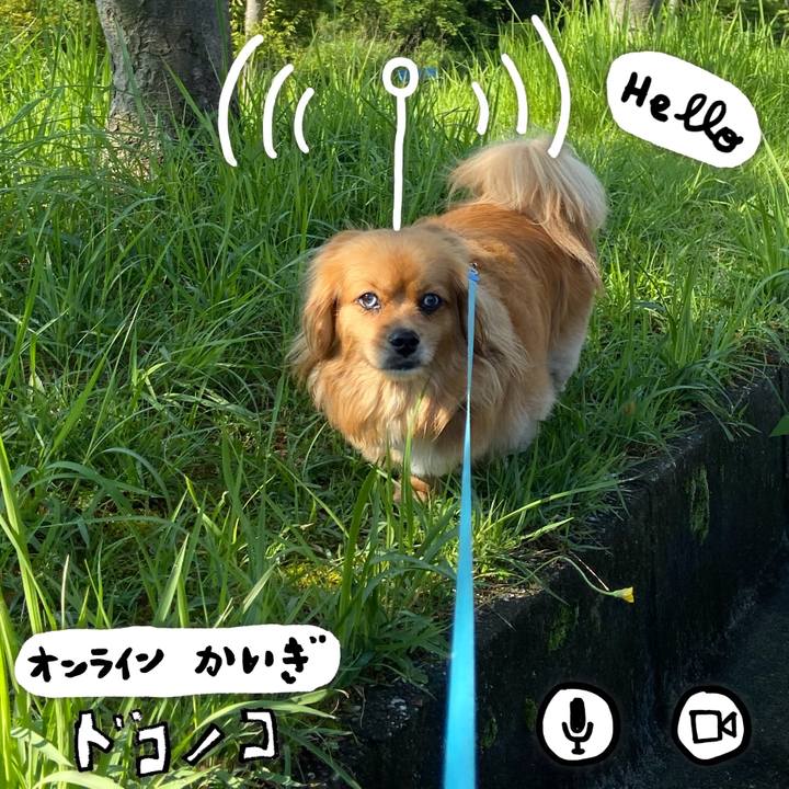 Baaf3779 0f68 47b9 be2e deb40dbd3eb6 1592615554850