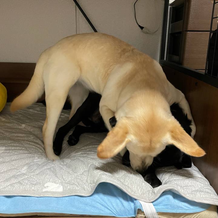 Baaf3c4a 9f45 4b65 991f d54e16f399d5 1628864897308