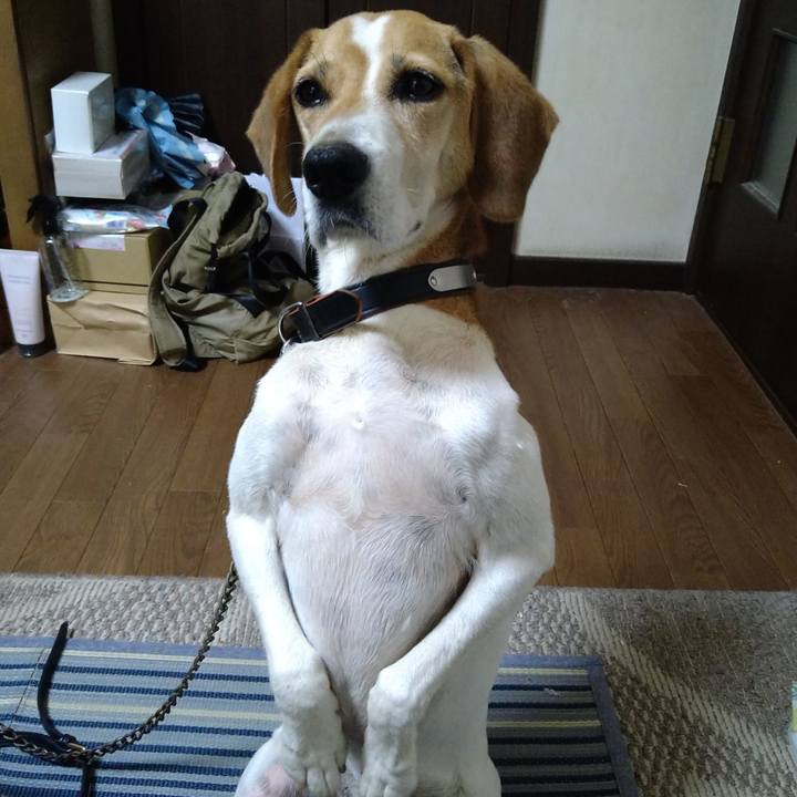 Baaf5821 1f61 48ef 99e8 d75d9dc46ed2 1658904058681