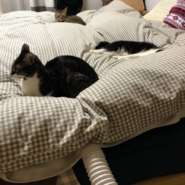 Baaf659a cd0e 40a4 8d68 888dc8d18950 1548679996196