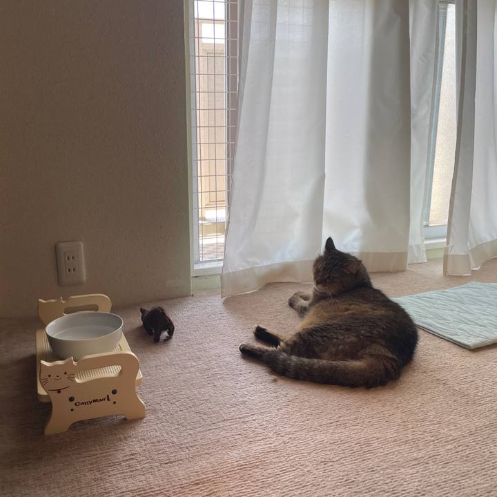 Baaf75b1 a1f4 4ce8 aa72 baa9f5fa925e 1753311316731