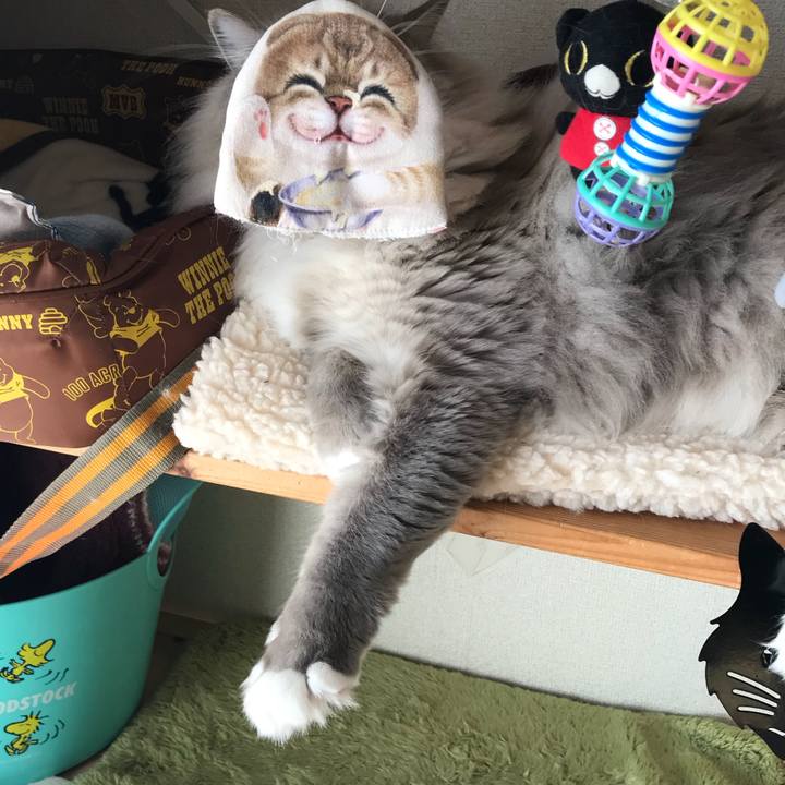 Baafb75e e213 4d41 a6c8 8aefc878b28a 1518785354839