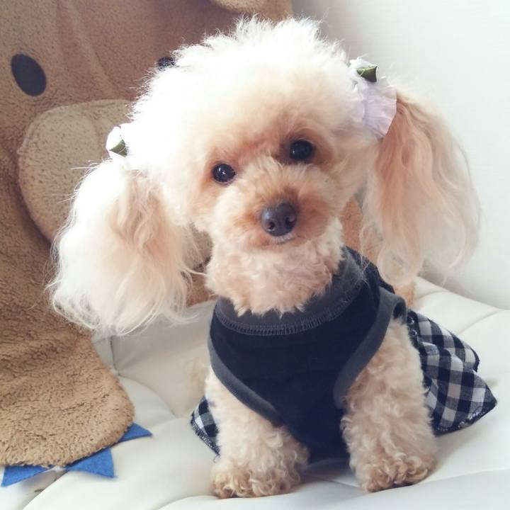 Bab01bae 160a 4e59 a1d7 02deffcdf5d5 1539862762643