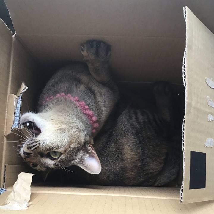 Bab02566 42aa 4b58 9e23 5d4d21fb9b3a 1589254821804