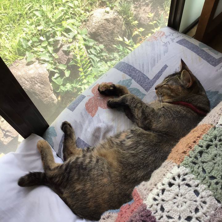 Bab026fc ea91 427c 84e6 78b1830fe471 1600137159336