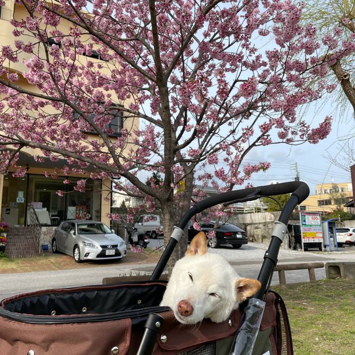 Bab0276b ff67 4370 a679 5835d97bd3a0 1648210692530