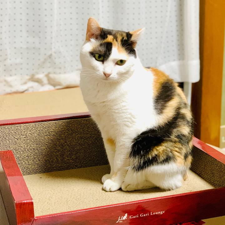 Bab02a20 7f4b 412e 9db4 af7a935f3584 1603936138991