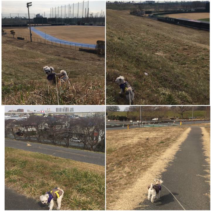 Bab02e7e aa29 4112 9600 b3d19de38e85 1518766575182