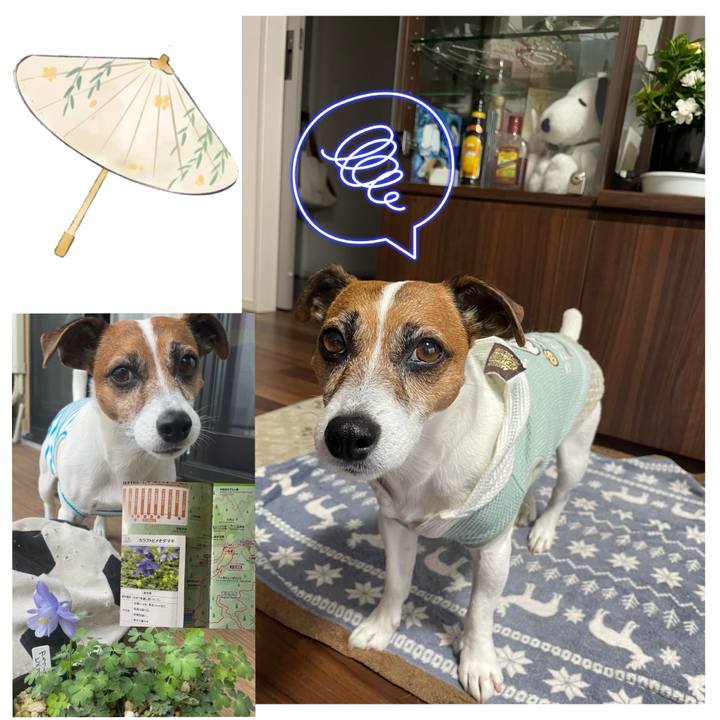 Bab0306b 596d 47be 9b08 525a886b3aea 1748947322269