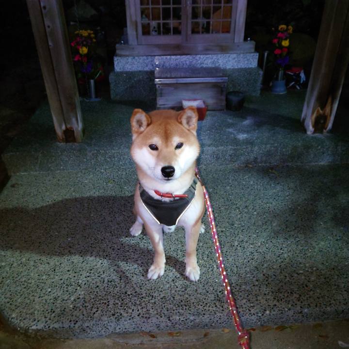 Bab04655 54d9 441f a810 25abfd45d039 1770088464410