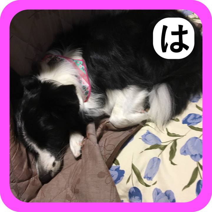 Bab050eb 7ee1 4989 8ff0 350b58bcfd1f 1514848840213