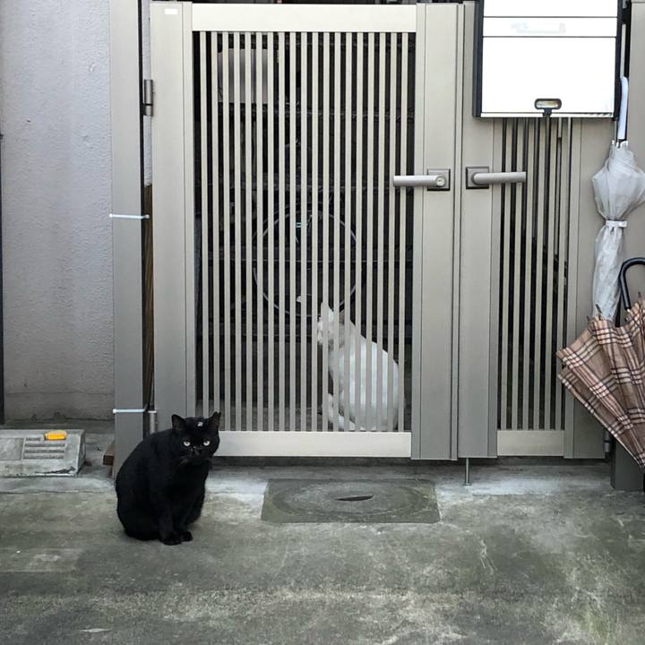 Bab07de9 2d6c 43a4 91a7 288d24494343 1569074515546