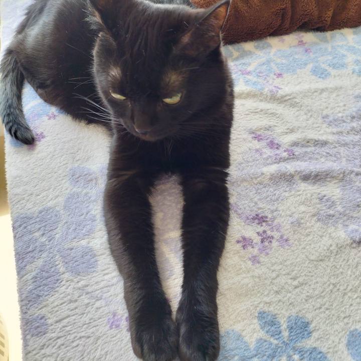 Bab0a004 2cac 4b21 bda0 73aa68b1eb29 1696217691147