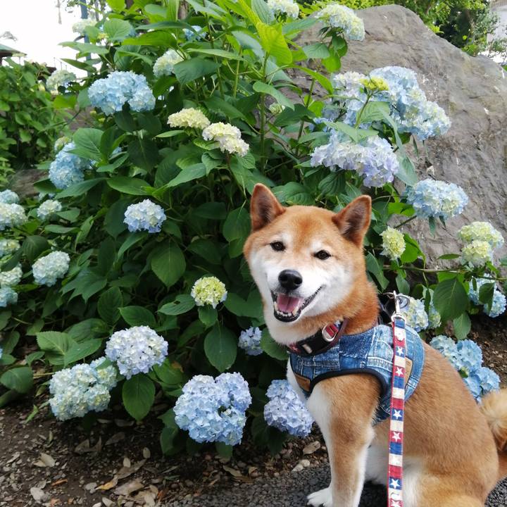 Bab0a545 7307 42d6 9b66 3e48a0380711 1654320827603