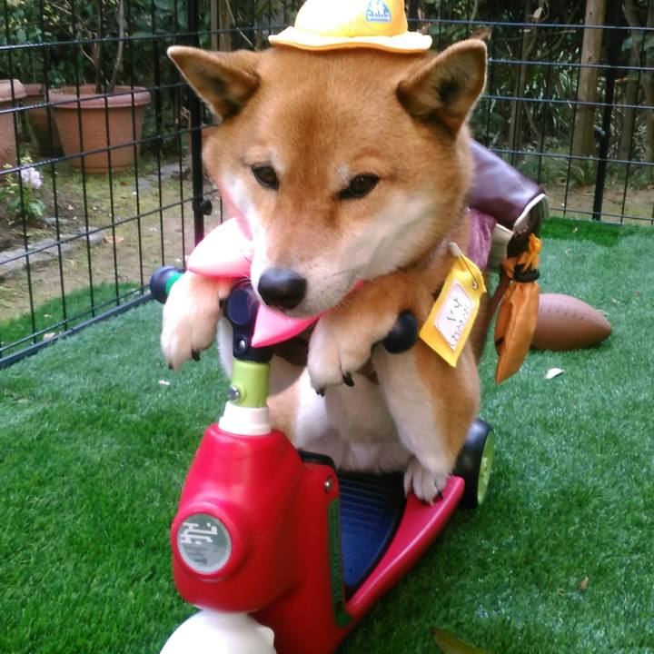 Bab0c932 7edc 4ac0 8e74 30eda3a3126d 1522829632366