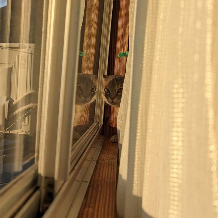 Bab0c950 ef36 4b36 9792 aa95c40fdab4 1709869446932