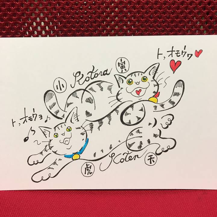 Bab0def6 f662 47fc 89d8 a7f058dba41d 1573051305095