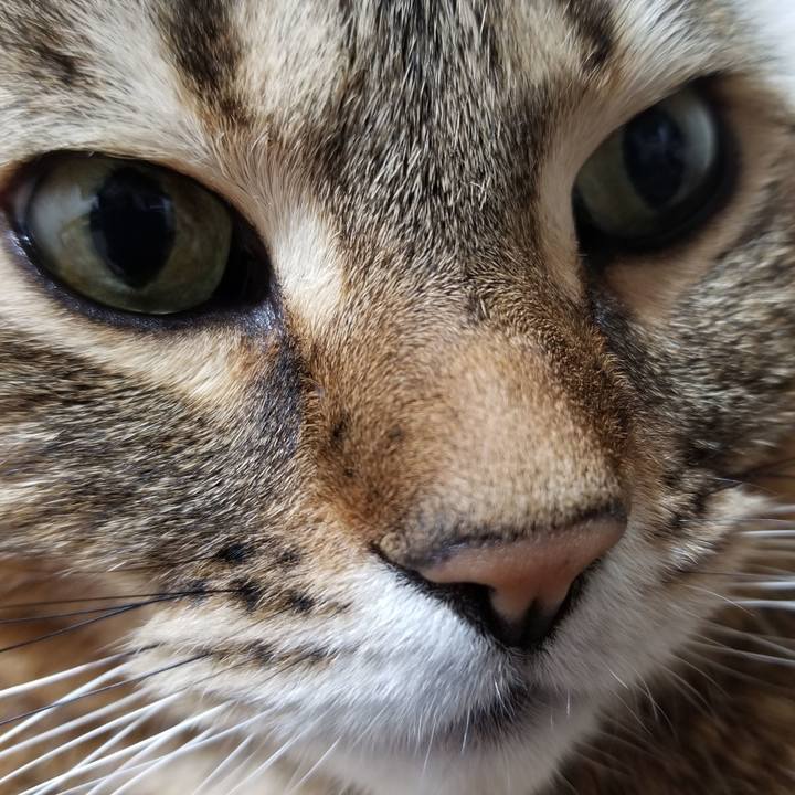 Bab0e5a9 d290 40a8 bf1d 47e4d157686e 1611060645371