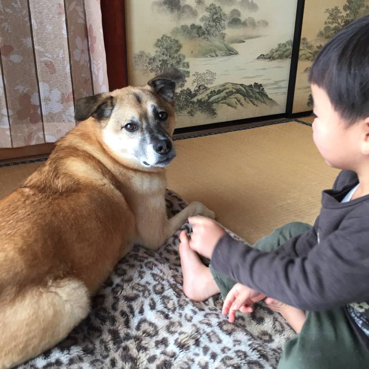 Bab12336 a9bc 4bcb ac91 e72be880e197 1514708246626