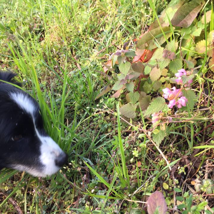 Bab12f08 1977 4fc0 a2e5 30a5eaf55895 1583882402748