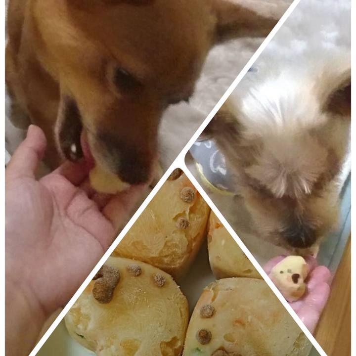 Bab190a4 7d4d 4c19 b85e 3ca0c604b7b0 1539476724698