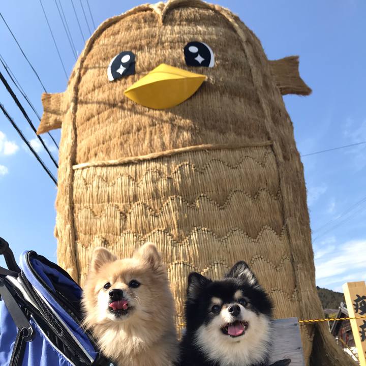 Bab1a793 d32f 4020 8a17 ed995660dd96 1611453879265