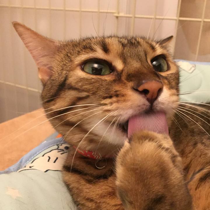 Bab1e9fa a685 4e78 a3c0 759d074a3937 1536449127118