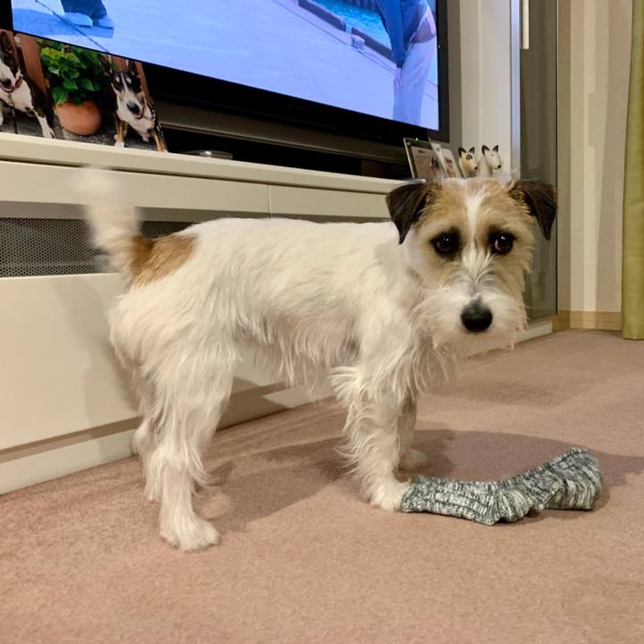 Bab1ffe3 cde3 4196 a303 9fe40b36606c 1648301331335