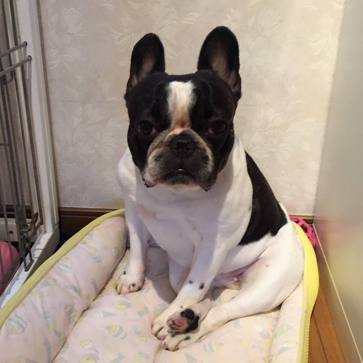 Bab221f5 e22c 40e3 a8fa 999dc071b908 1531919769189