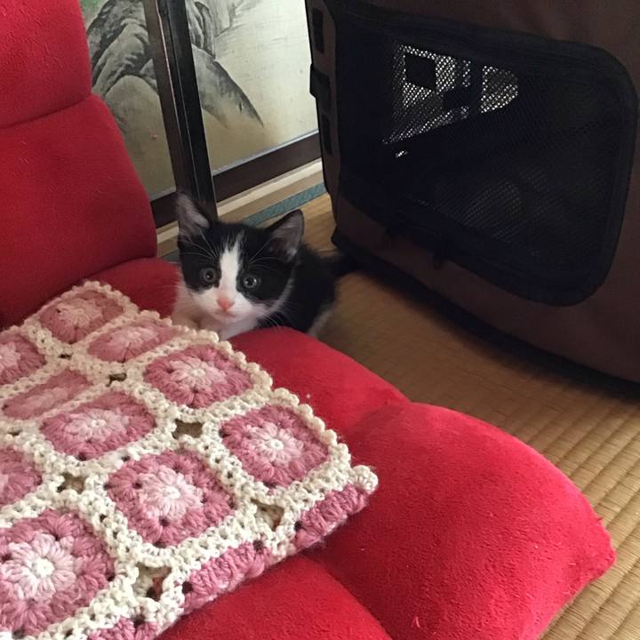 Bab230a6 8a6b 4ace 8f55 a3b6efd78a13 1623636689231